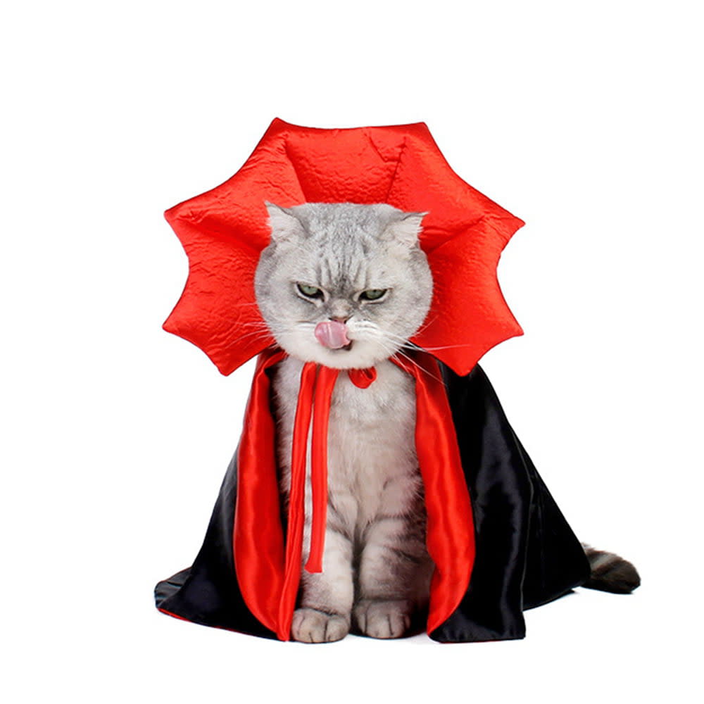 <p><a href="https://go.redirectingat.com?id=74968X1596630&url=https%3A%2F%2Fwww.walmart.com%2Fip%2FHalloween-Cat-Dog-Costume-Vampire-Cape-Pet-Costume-for-Cats-and-Small-Dogs-Cosplay-Party-Cat-Outfit-Clothes-for-Halloween-Party-Decoration%2F1028700732&sref=https%3A%2F%2Fwww.thepioneerwoman.com%2Fholidays-celebrations%2Fg44495776%2Fhalloween-costumes-for-cats%2F" rel="nofollow noopener" target="_blank" data-ylk="slk:Shop Now;elm:context_link;itc:0;sec:content-canvas" class="link rapid-noclick-resp">Shop Now</a></p><p>Vampire Cat Costume</p><p>$9.99</p><p>walmart.com</p><span class="copyright">Walmart</span>