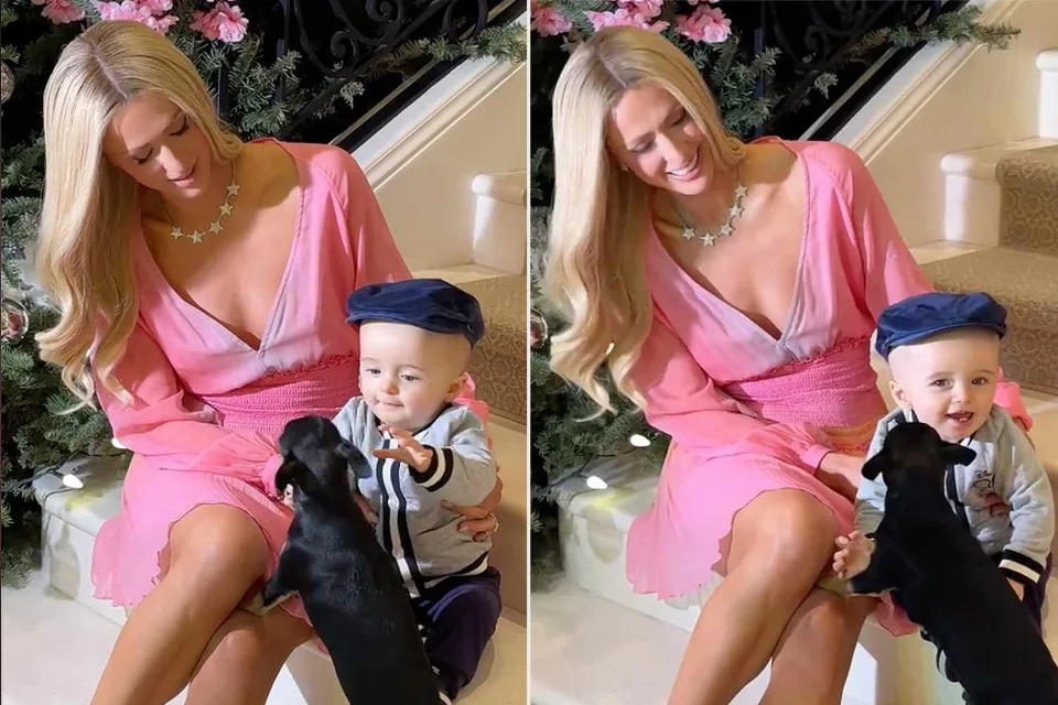 <p>Paris Hilton/TikTok</p> Paris Hilton and son Phoenix play with puppy in cute new TikTok video