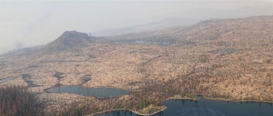 View of the north side of Waldo Lake where the Cedar Creek Fire reburned the Charlton burn scar.