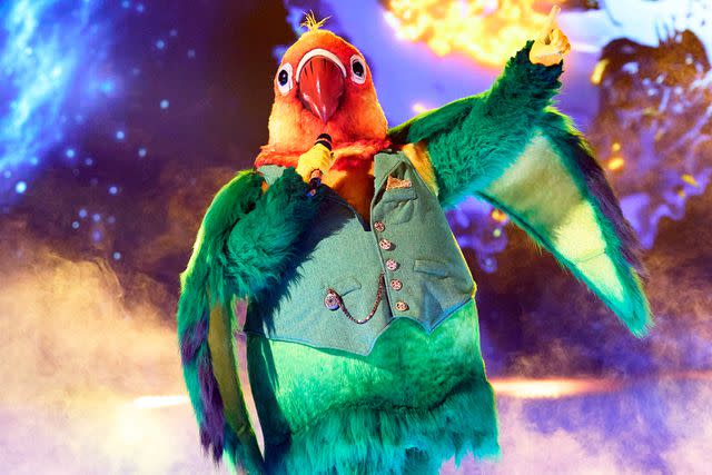 <p>Michael Becker/FOX</p> Lovebird on 'The Masked Singer'