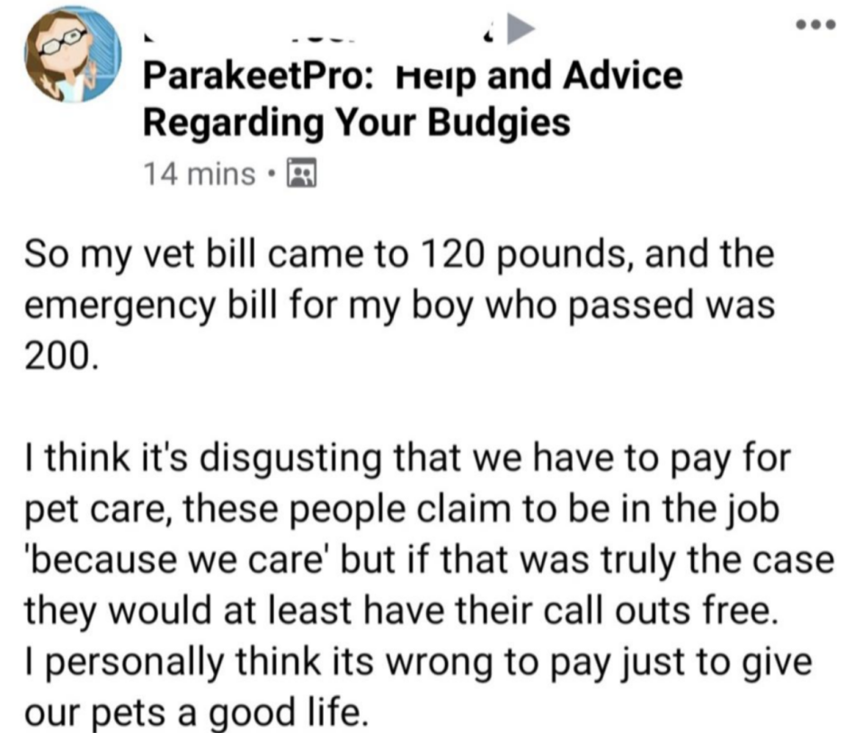 "I think it's disgusting we have to pay for pet care..."