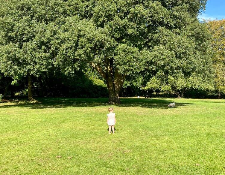 Ruby Smallman won the competition with her photo Hope In An Oak (Ruby Smallman/PA)