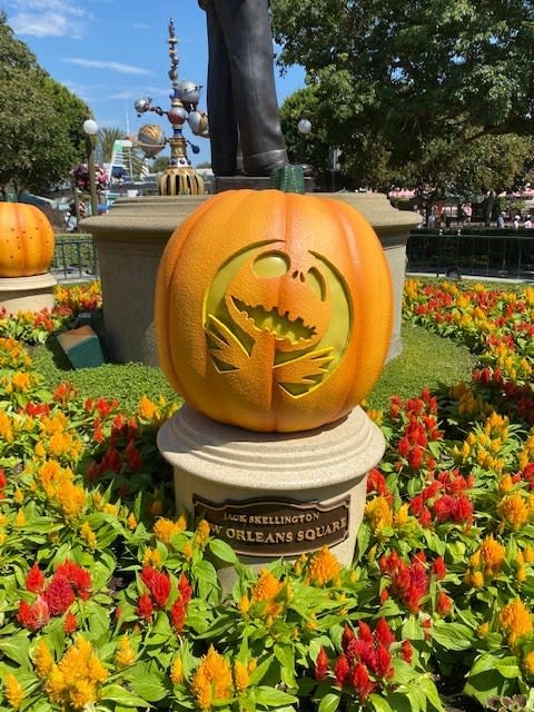 carved pumpkin