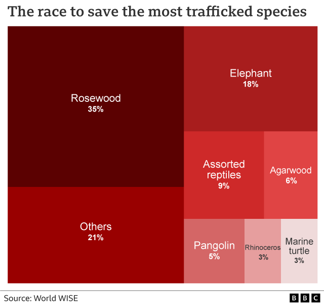 A chart showing the most trafficked species