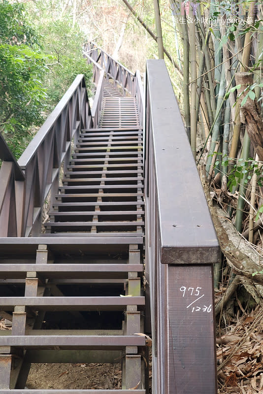 台中大坑六號七號登山步道