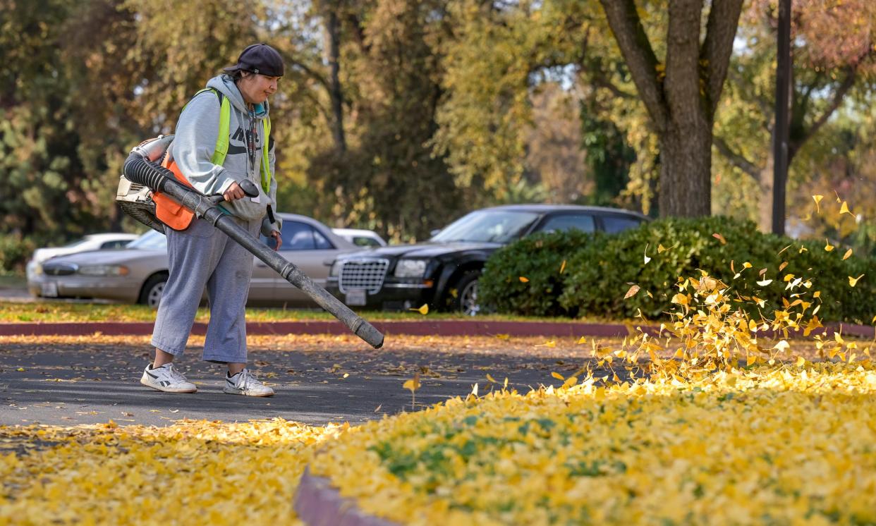 Anastacia Chavez clears leaves Monday, December 5, 2022 at Blain Park with a crew from Able Industries.