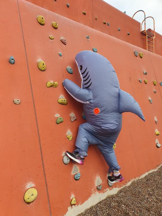 Woman climbing wall in inflatable shark costume 