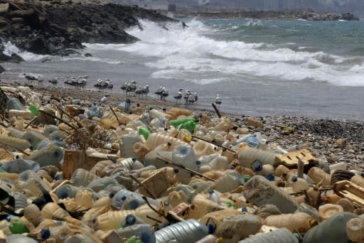 Coca-Cola, Walmart and other big multinationals have pledged to help reduce plastic pollution in the world's oceans