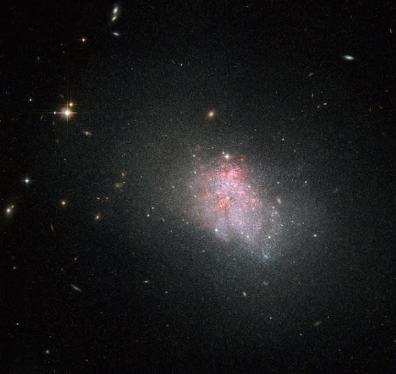This image from NASA's Hubble Space Telescope shows the faint irregular galaxy NGC 3738, which is in the midst of a violent episode of star formation, as evidenced by the red glow of hydrogen gas surrounding the galaxy.