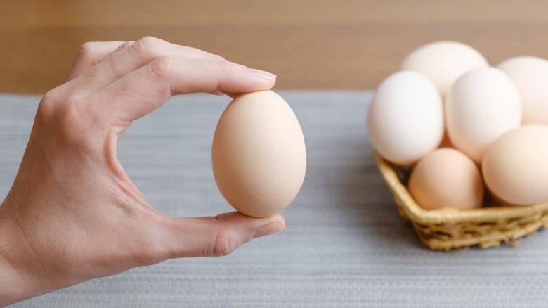 person holding chicken egg