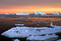 <p>Adelie penguins stand atop ice near the French station at Dumont d’Urville in East Antarctica, Jan. 22, 2010. (Photo: Pauline Askin/Reuters) </p>