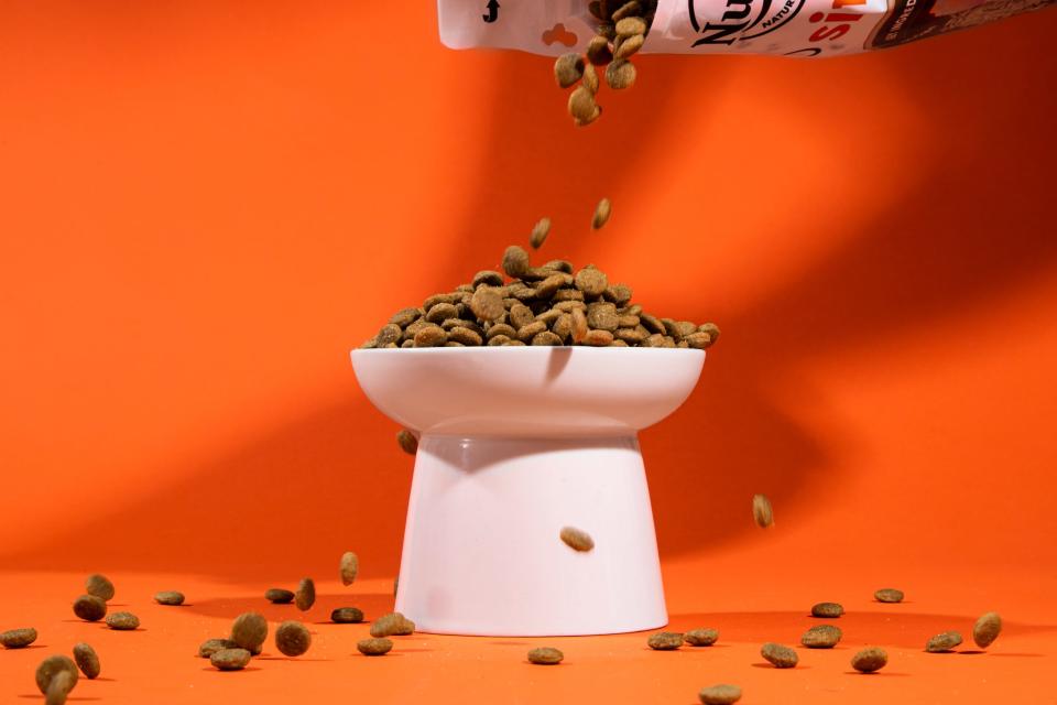 Dog food being poured into a white bowl on an orange background.