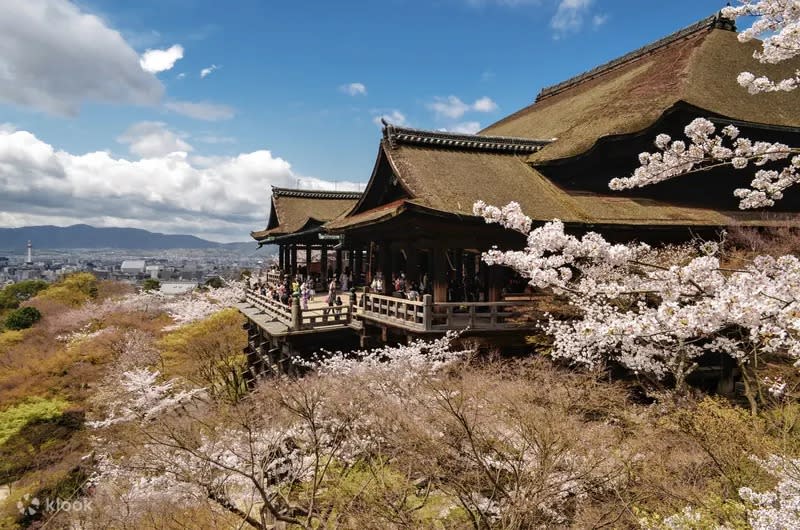 Kyoto Temples & Shrines Day Tour from Kyoto: Fushimi Inari-taisha, Arashiyama, Kiyomizu-dera & More. (Photo: Klook SG)