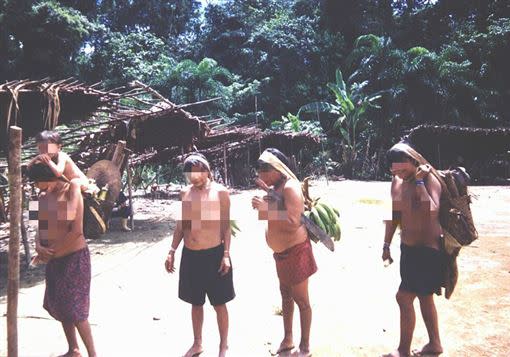巴西雨林區亞諾馬米部落出現首例確診。（示意圖，非當事人／翻攝自維基百科）