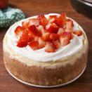 <p>For when you need cheesecake stat. </p><p>Get the <a href="https://www.delish.com/uk/cooking/recipes/a32443596/instant-pot-cheesecake-recipe/" rel="nofollow noopener" target="_blank" data-ylk="slk:Instant Pot Cheesecake;elm:context_link;itc:0;sec:content-canvas" class="link ">Instant Pot Cheesecake</a> recipe.</p>