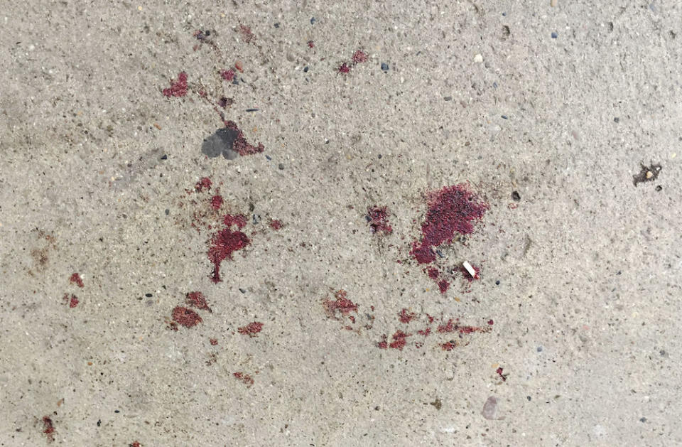 Blood is seen on the ground where AfD politician Frank Magnitz was attacked in Bremen (Picture: AP)