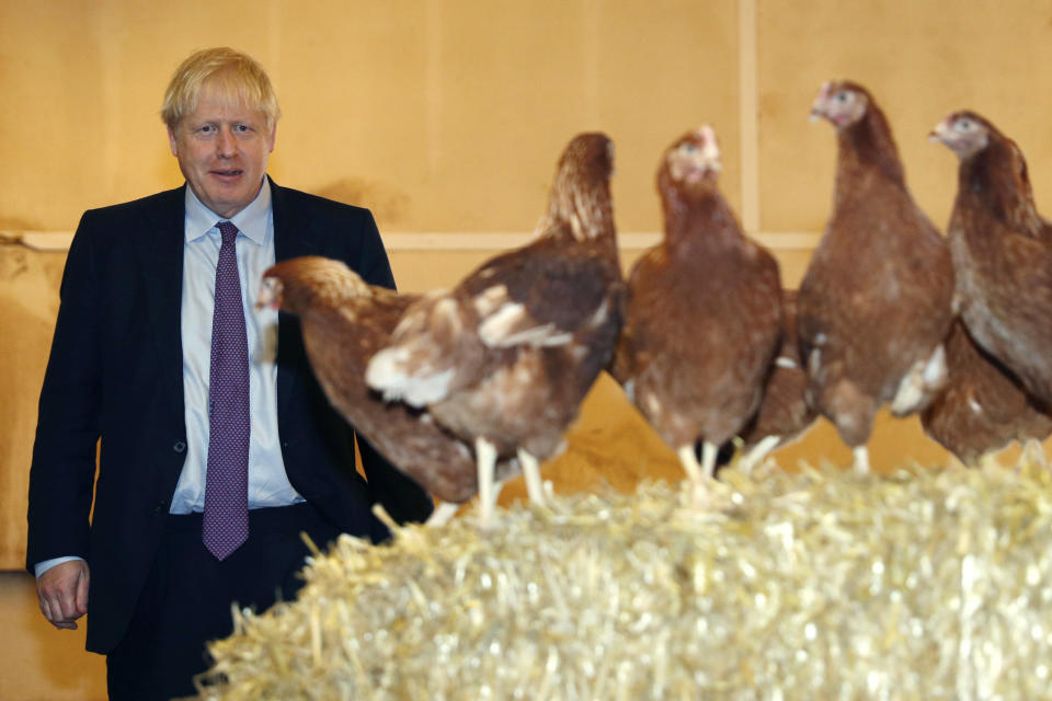 Britain's Prime Minister Boris Johnson looks at chickens during his visit to rally support for his farming plans post-Brexit, at Shervington Farm, in St Brides Wentlooge near Newport, south Wales, Tuesday, July 30, 2019. (Adrian Dennis/Pool Photo via AP)