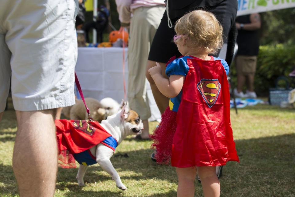 15) Superman and Supergirl Costumes for Dog and Owner