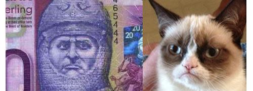 20 pound note and Grumpy Cat