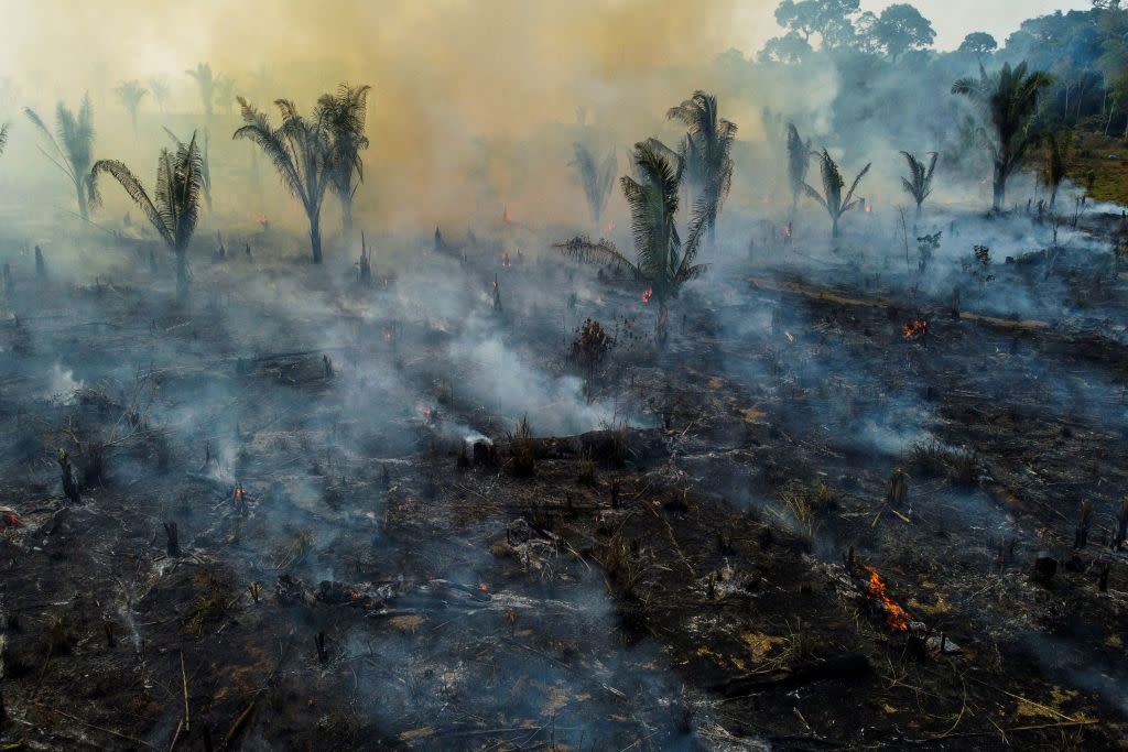 BRAZIL-ENVIRONMENT-AMAZON-DEFORESTATION