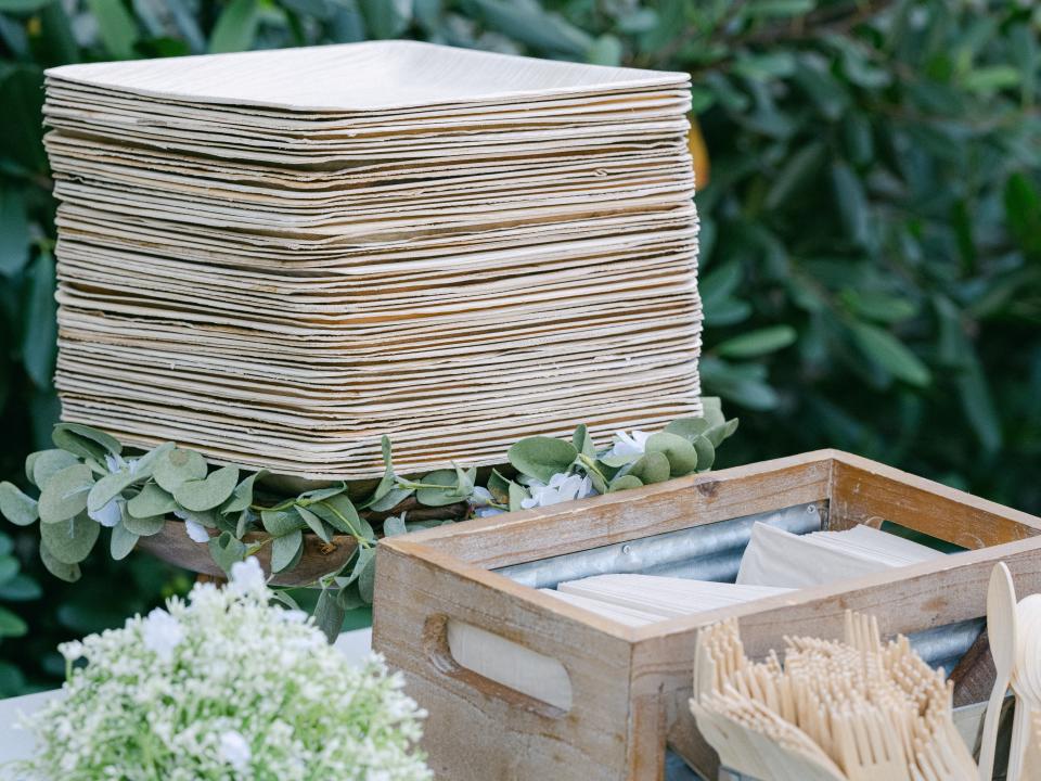 Paper plates, cutlery and napkins are placed on a white table around green foliage