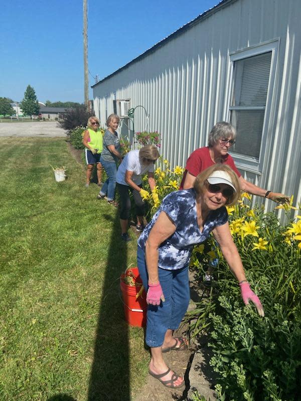 Glenda Leuthold, left, Rose Guinther, Sarah Kalb, Joy Lauthers and Dianna Zaebst, members of the Earth, Wind and Flowers Garden Club, deadhead daylilies before the "Company's Coming" plot judging at the Crawford County Fairgrounds.