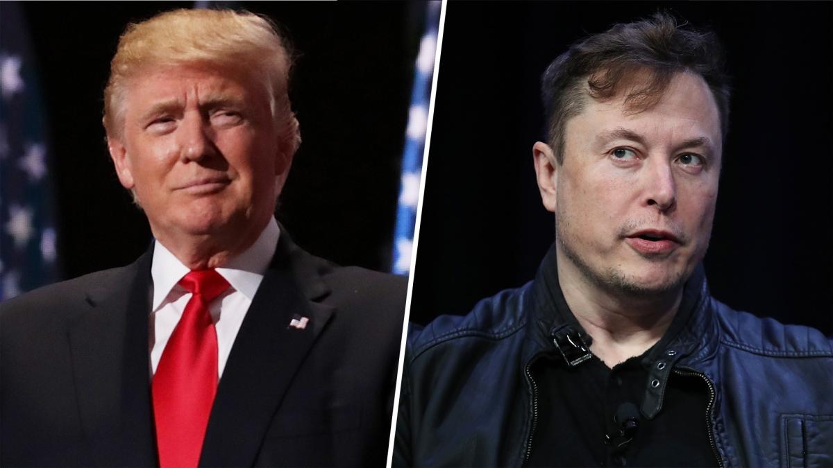 Elon Musk Reinstates Donald Trumps Twitter Account 