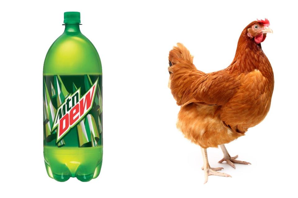 <p>Getty Images</p> Mountain Dew and live chickens have been brought into emergency rooms.