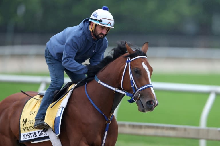 Exercise rider Robby Albarado takes Kentucky Derby winner Mystik Dan over the track prior to the 149th Preakness Stakes at Pimlico Race Course in Baltimore (Rob Carr)