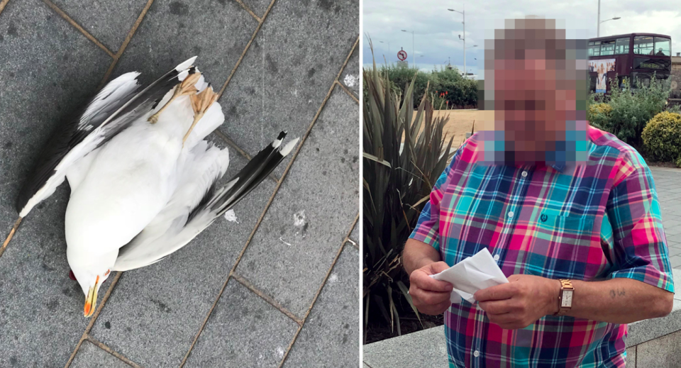 <em>The man smashed the seagull against a wall after it stole a chip (Caters)</em>