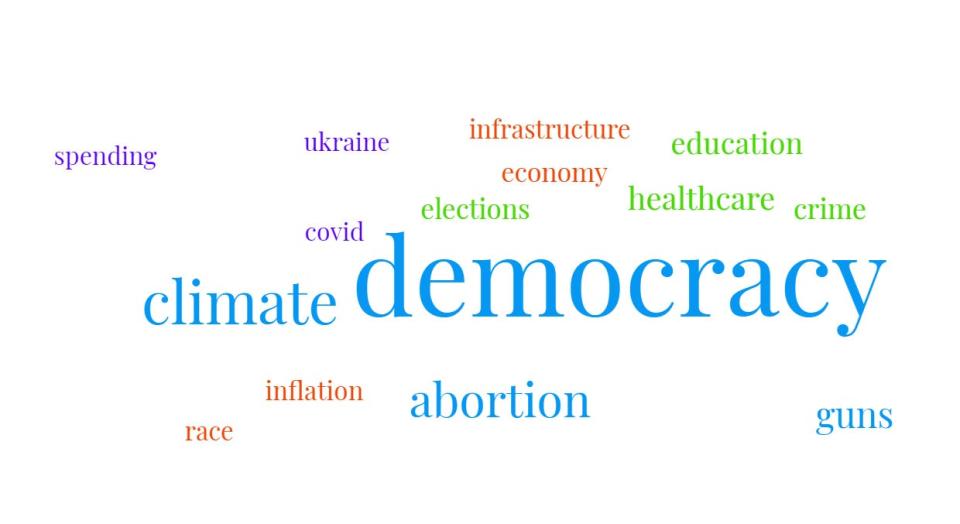 A word cloud based on what self-described Democrats said concerned them the most heading into the midterms in our Main Street Agenda survey.