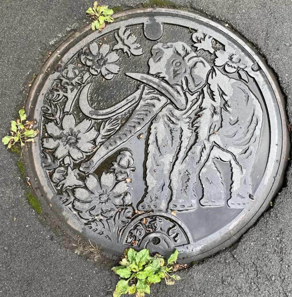 Tapa de alcantarilla con un diseño de un mamut y flores alrededor.