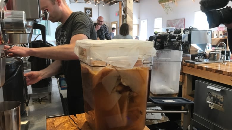 Regina coffee shop brews up something different with kombucha on tap