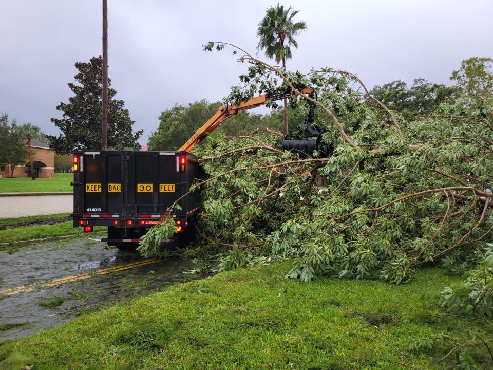 Crews from the city of Lakeland work to remove fallen trees Thursday morning on Lake Morton Drive.