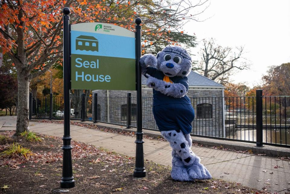 Rhode Island FC mascot Chip the seal at Rogers Williams Park Zoo.