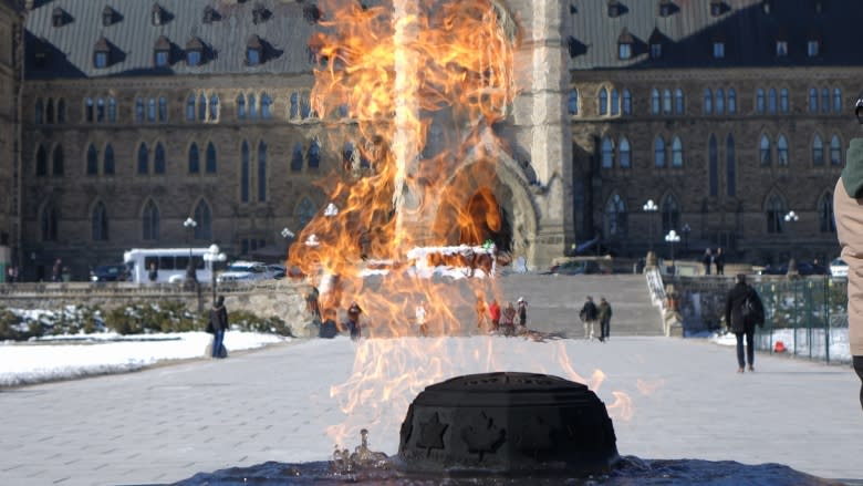 'Greening' project could end use of fossil fuel for Centennial Flame