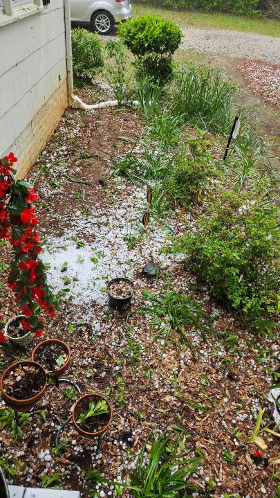 Hail in Lancaster (Credit: Barbara Luke)