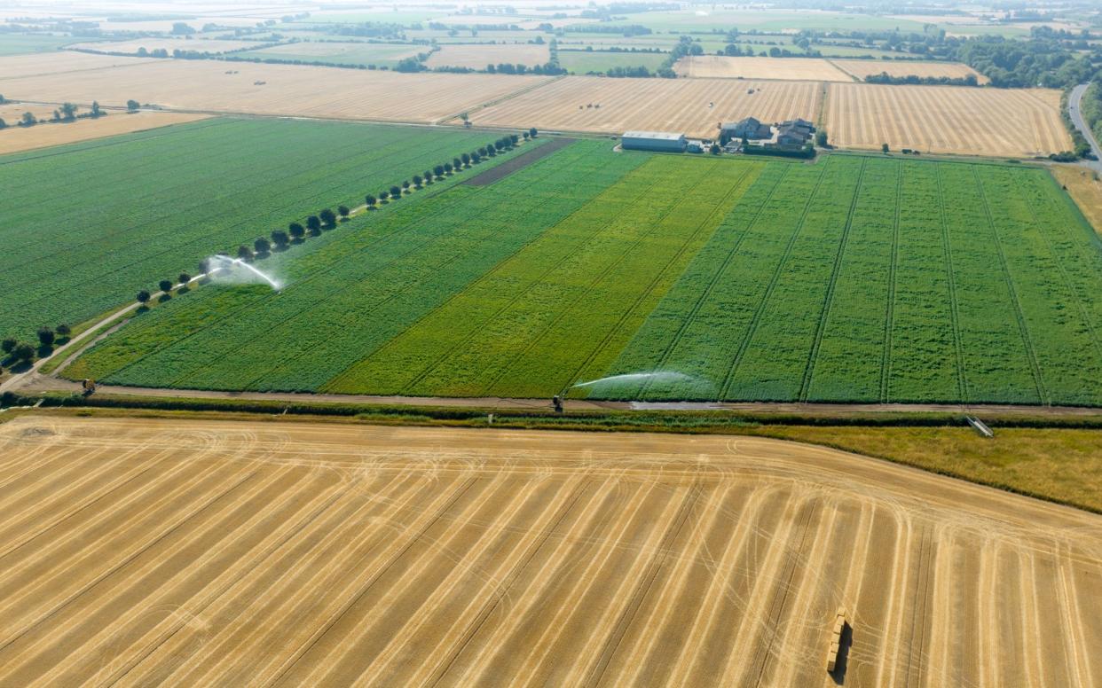 Farming fields - Geoff Robinson