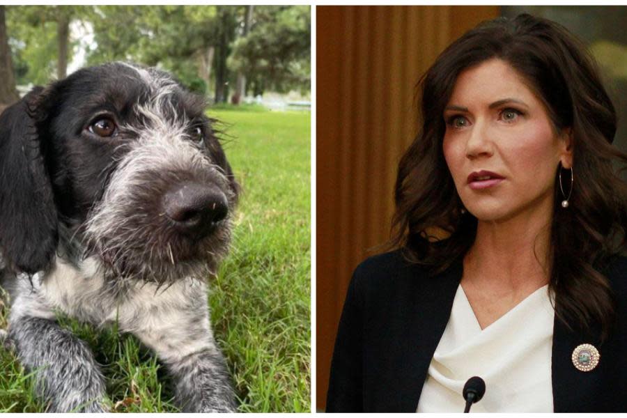 Kristi Noem, gobernadora de Dakota del Sur confesó haber matado a su propia perrita 