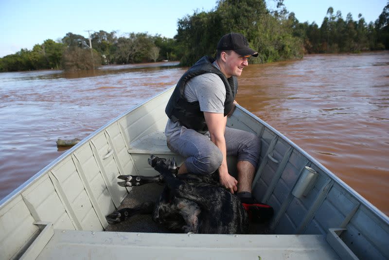 Lucas Atkinson rescues a calf in a flooded area after a cyclone hit southern towns, in Venancio Aires,