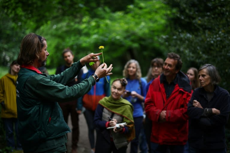 Le guide Kenneth Greenway montre une fleur de pissenlit aux participants d'un cours de cueillette de plantes comestibles dans le parc du cimetière de Tower Hamlets, à Londres, le 18 mai 2024 (HENRY NICHOLLS)