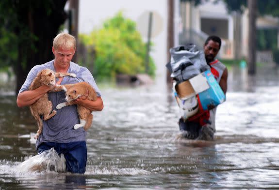 Brandon Smith carrying his two cats to dry land.