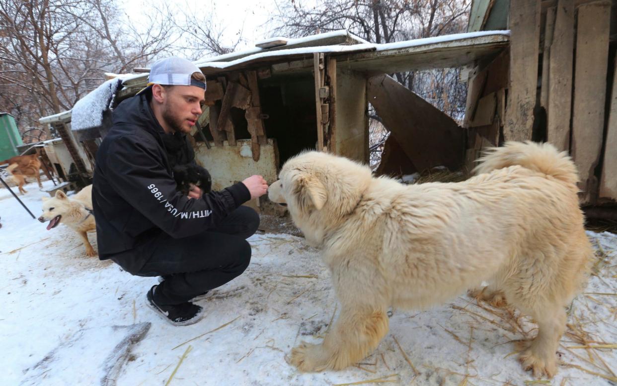Gus Kenworthy plays with a dog during a visit to a dog meat farm in Siheung, South Korea - AP