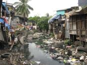 Estero de Paco before the clean up.