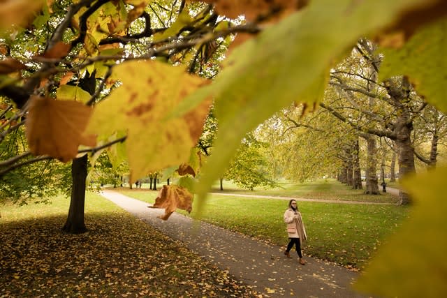 Autumn weather Oct 18th 2020