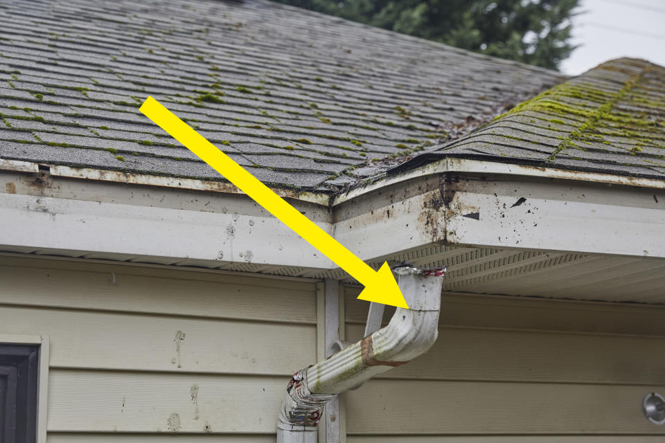 arrow pointed to disconnected gutter on a moss covered asphalt roof