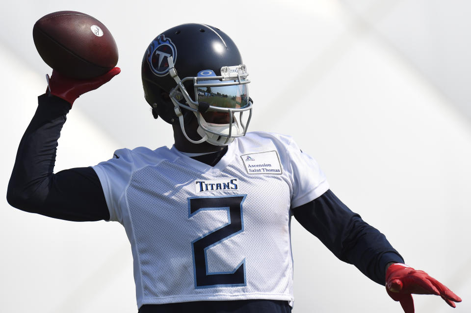 Tennessee Titans wide receiver Julio Jones (2) 