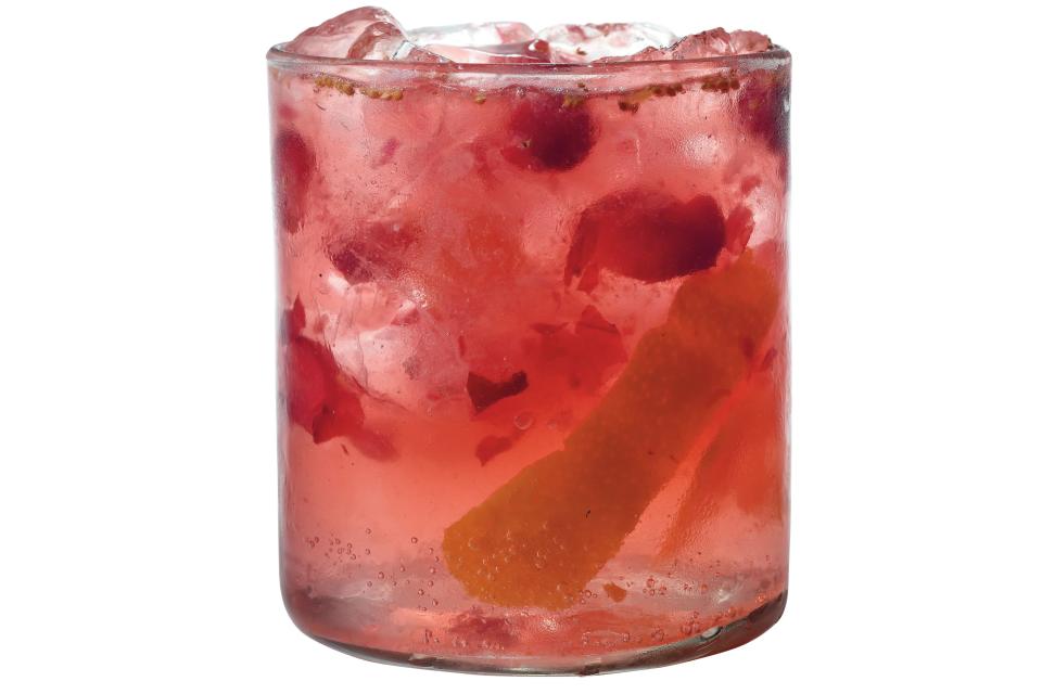 Orange-Cranberry Gin and Tonic