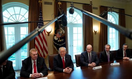 U.S. President Donald Trump announces that the United States will impose tariffs of 25 percent on steel imports and 10 percent on imported aluminum during a meeting at the White House in Washington, U.S., March 1, 2018. REUTERS/Kevin Lamarque