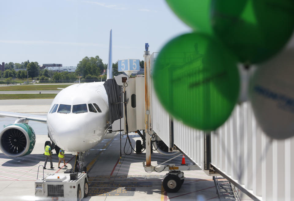 A lawsuit claims that a five-year-old girl was mauled by an “emotional support” pit bull inside the Portland International Airport. (Photo by Derek Davis/Portland Press Herald via Getty Images)